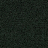 Schoonloopmat Coral Brush Racing Green