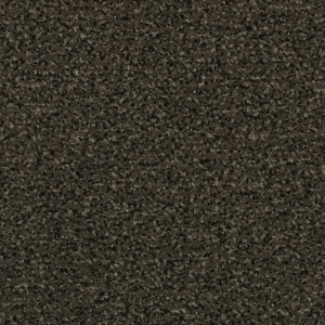 Schoonloopmat Coral Classic Spun Gold