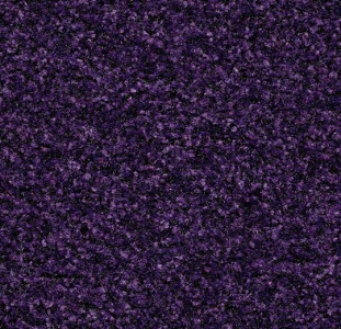 Schoonloopmat Coral Brush Royal Purple
