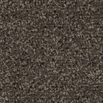 Voorspeller verkopen plotseling Schoonloopmat Coral Classic Taupe | Wola